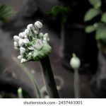 欧美一级毛片免费高清 0qeq4wvn