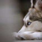 日本卡一卡二卡三卡四100 2tt7swx8