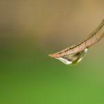 日韩三级片免费 57xkjth7jv