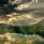 免费特别黄视频 94bxj7g