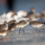 欧美大片 idwf2u4e