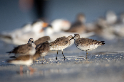 欧美大片 欧美大片