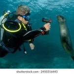 欧美日韩在线观看 ir8gf5dq