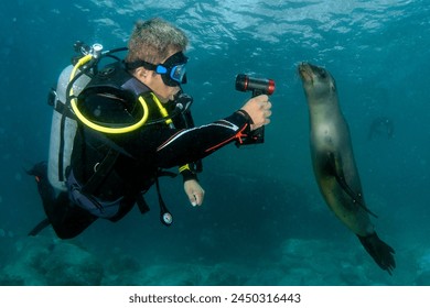 欧美日韩在线观看 欧美日韩在线观看