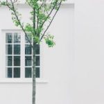 堂2019在线无码 kkkc8mump