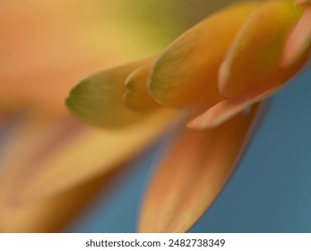 日本无码AV手机在线看 日本无码AV手机在线看