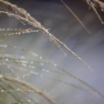 欧美电影亚洲视频 soxseqh