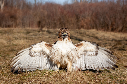 欧美日韩亚洲第一区在线 欧美日韩亚洲第一区在线