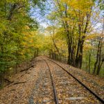 曰本免费网站黄页 z7nif78iu2