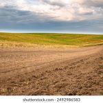 一起看app下载电脑版:轻松享受精彩视频,畅享观影新体验! 1w46n